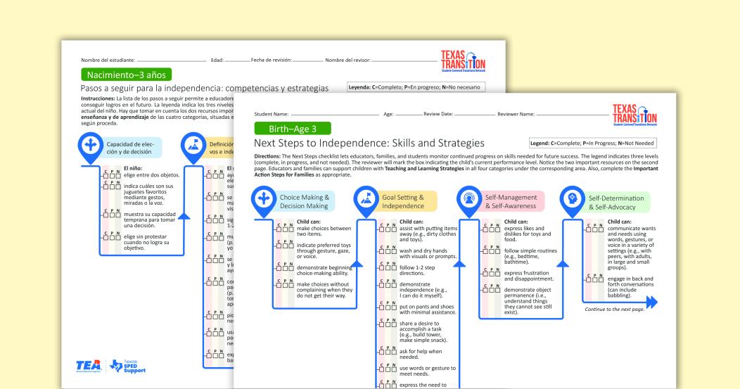 Next Steps to Independence: Skills and Strategies